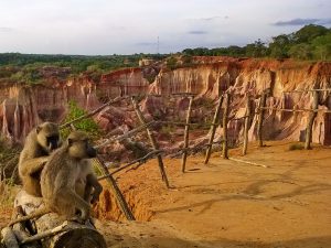 LA CUCINA DEL DIAVOLO, IL CANYON DI MARAFA